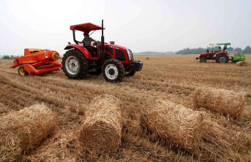 赤峰市林西縣農作物秸稈綜合利用試點項目順利通過驗收